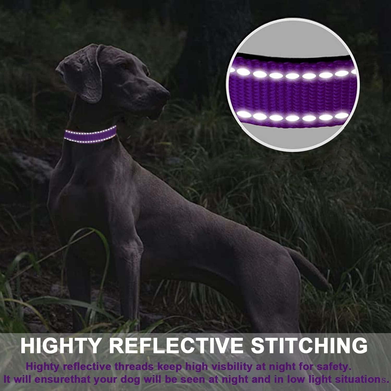 ATETEO Dog Collar, Reflective Adjustable Basic Dog Collar with Soft Neoprene Pad