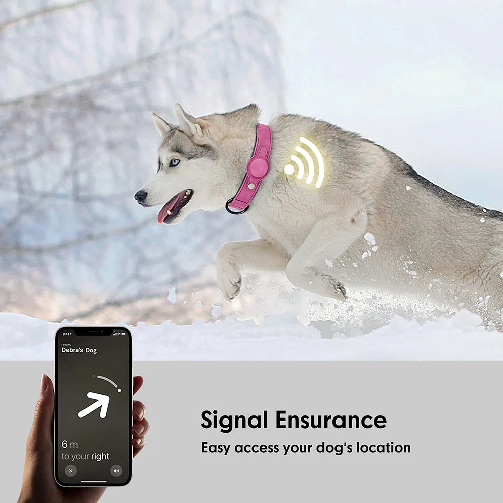 Dog Collar High Quality PU Leather Pet Collars Anti-Lost Tag Collar Adjustable for Small Medium Dogs Chihuahua Pug Accessories