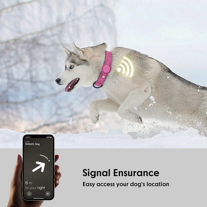 Dog Collar High Quality PU Leather Pet Collars Anti-Lost Tag Collar Adjustable for Small Medium Dogs Chihuahua Pug Accessories