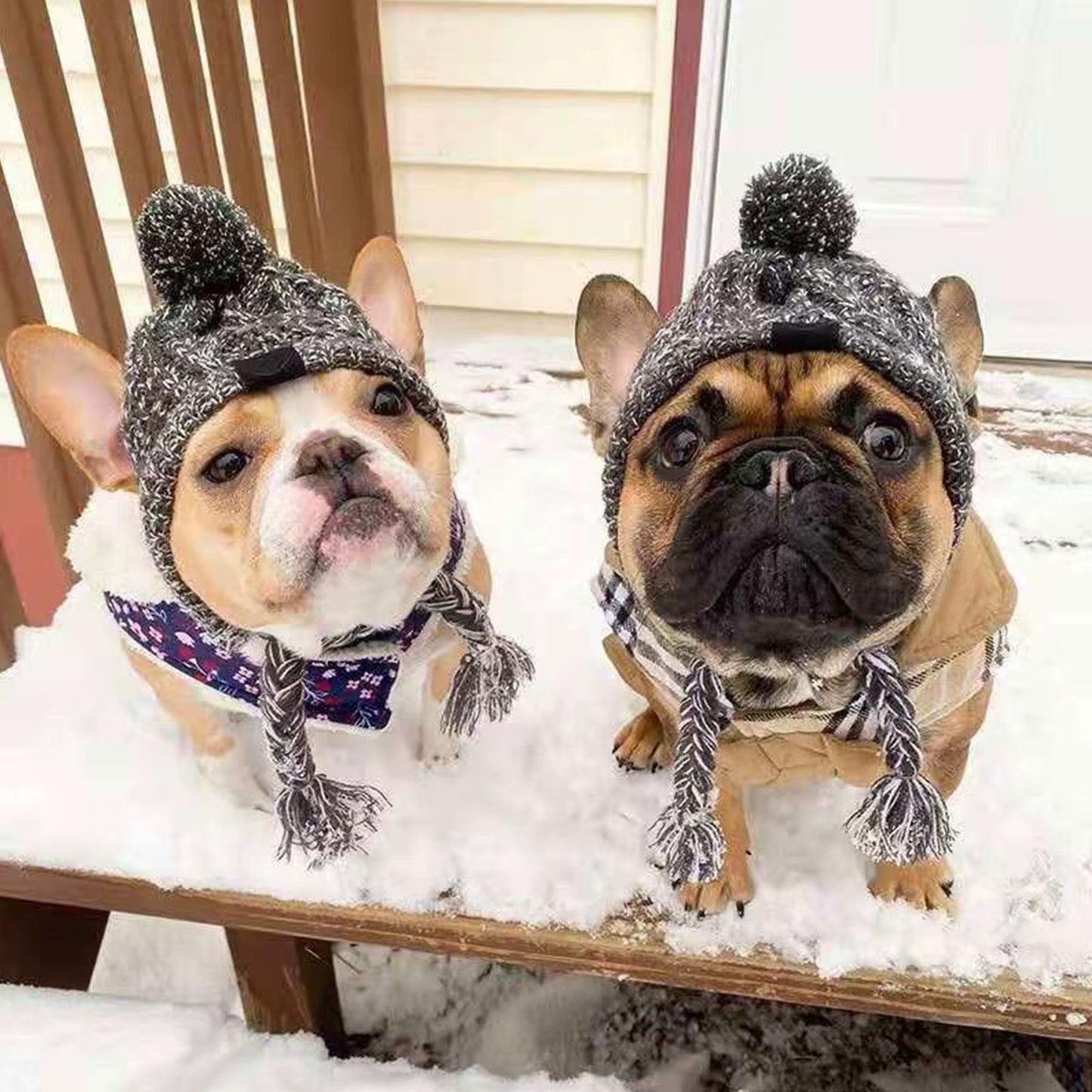Winter Warm Dog Hats Windproof Knitting French Bulldog Hat for Dogs Chihuahua Hat Fluffy Ball Pet Hat Puppy Accessories