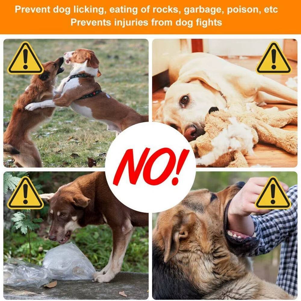 Dogalter Dog Halter Halti Training Head Collar Gentle Leader Harness Nylon Pet Accessory No Pull Bite Straps Training Leash