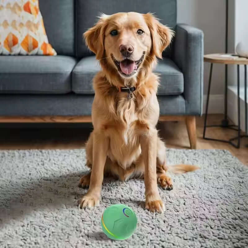 Pet Intelligent Gravity Bouncing Ball Dog Interactive Electric Smart Rolling Ball Dog Jumping Ball Pet Relaxation Sports Toys