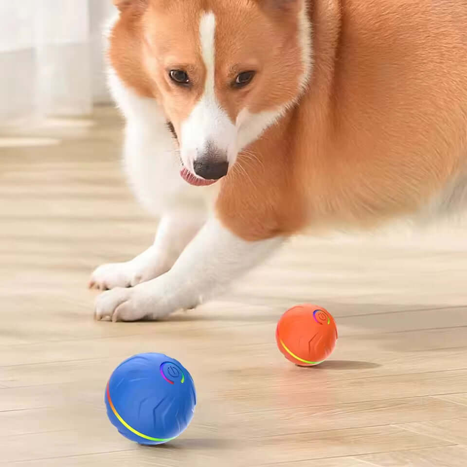 Pet Intelligent Gravity Bouncing Ball Dog Interactive Electric Smart Rolling Ball Dog Jumping Ball Pet Relaxation Sports Toys